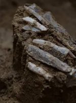 نگاهی به زندگی شخصی یک انسان ماقبل تاریخ؛ رازهای جعبه‌ابزار گمشده