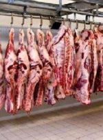 واردات ۲۰۰ هزار تنی گوشت قرمز برای تنظیم بازار/ قیمت گوشت ارزان می شود؟