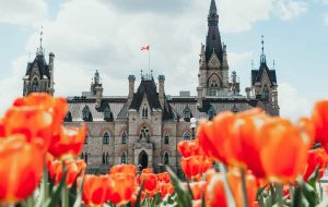 ورود اکسپرس: 4500 نامزد دعوت شده در قرعه کشی سوم هفته