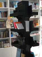 ویدیو | دنیای خیال‌انگیز بچه‌ها در روباه قرمز