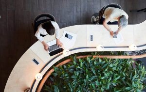 کارنی می گوید ، کانادا برای هدف قرار دادن استعداد فنی تحت تأثیر H-1B هزینه ، می گوید