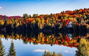 کانادا اولین تساوی ورودی برای مشاغل تجاری را در سال 2025 برگزار می کند