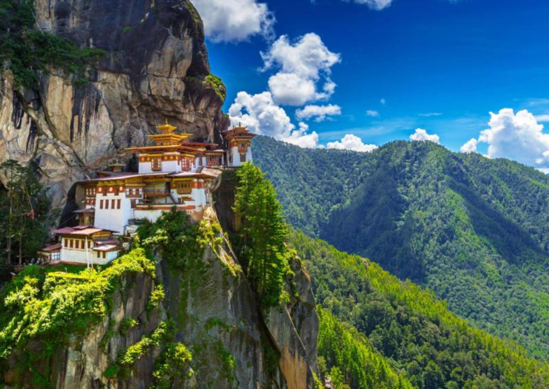 معبدی در کوهستان سرسبز بوتان