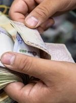 یارانه ویژه دولت؛ طرح یسنا به چه کسانی تعلق می‌گیرد؟