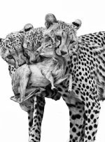 ۱۵ عکس باورنکردنی از شصت‌و‌یکمین دوره مسابقه عکاسی حیات وحش سال