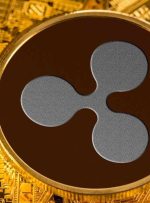 Ripple CTO با XRPL Vision دست نخورده و جامعه XRP بی وقفه است