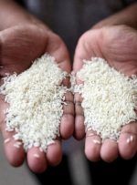 آخرین قیمت برنج ایرانی و پاکستانی در بازار آخرین قیمت برنج ایرانی و پاکستانی در بازار