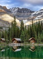 بریتیش کلمبیا PNP نامزدهای بیشتری را دریافت می کند ، برنامه های بین المللی پس از تحصیلات تکمیلی را در لیست انتظار می کند