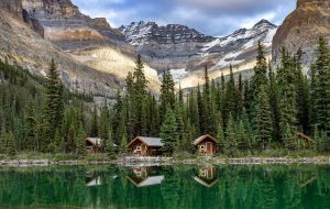 بریتیش کلمبیا PNP نامزدهای بیشتری را دریافت می کند ، برنامه های بین المللی پس از تحصیلات تکمیلی را در لیست انتظار می کند