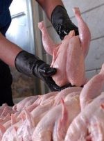 سفره خانوار گران‌تر شد/علت افزایش قیمت مرغ چیست؟