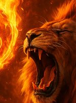 قیمت بیت کوین به 121،000 دلار رسید ، تمام وقت در مرحله بعدی بالا می رود؟